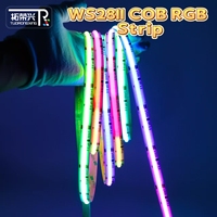 Bande LED COB RGB WS2811 adressable, flexible, pour éclairage paysager extérieur de piscine