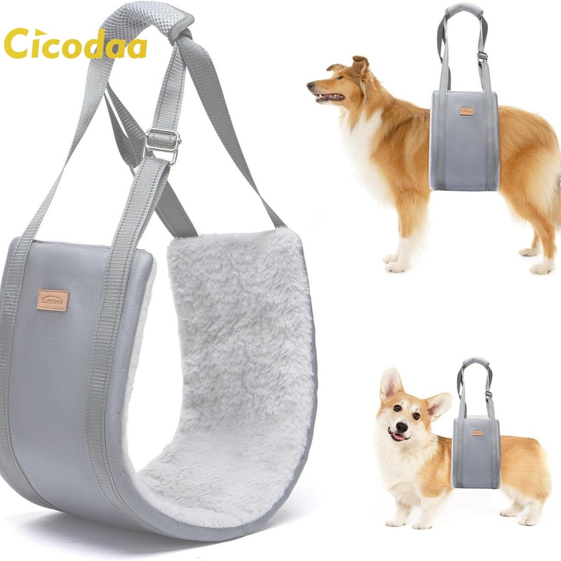 Adjustable Dog Mobility Aid Outdoor Use