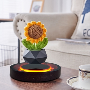 360 °   Maceta Flotante Magnética Giratoria, Decoración Artística, Soporte para Plantas Levitante, Decoración para Hogar y Jardín, Regalo - Product Image 6
