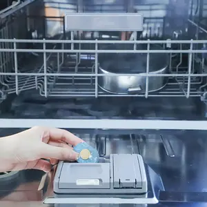 Özel etiket çevre dostu doğal ve verimli bulaşık yıkama bloğu bulaşık makinesi efervesan tablet fabrikası