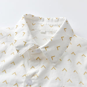 Chemises à manches longues de haute qualité + ensembles de pantalons, vente en gros en ligne, livraison, vêtements pour garçons, boutique pour enfants, ensemble 2 pièces 20B542B - Product Image 5