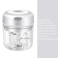 C692 Vente en gros d'usine Mini pilon à ail électrique sans fil 100/250ml hachoirs à viande mélangeur automatique USB presse rechargeable