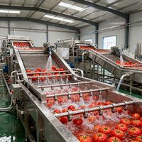 Volledig Automatische Tomatenverwerkingslijn - Grootschalige Tomatenpuree Verwerkingslijn Geïntegreerde Productielijn