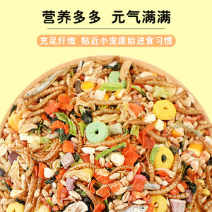 Alimento para Hámsteres, Granos Nutritivos, 160g, Ecológico, Suministros para Animales Pequeños - Product Image 3