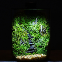 Vase en verre pour plantes avec couvercle lumineux intégré, terrarium en verre pour plantes d'intérieur, décoration de bureau et de maison