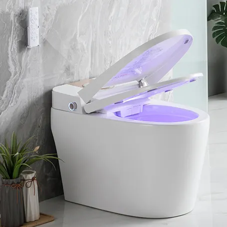 Sonoff — capteur avec clapet entièrement automatique, 110v, 1 pièce, intelligent de salle de bain, bidet électronique, toilette, bon marché