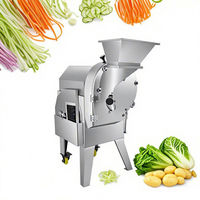 Multifunctionele snijmachine voor groenten en fruit, roestvrij staal 304, motor aangedreven, commercieel gebruik