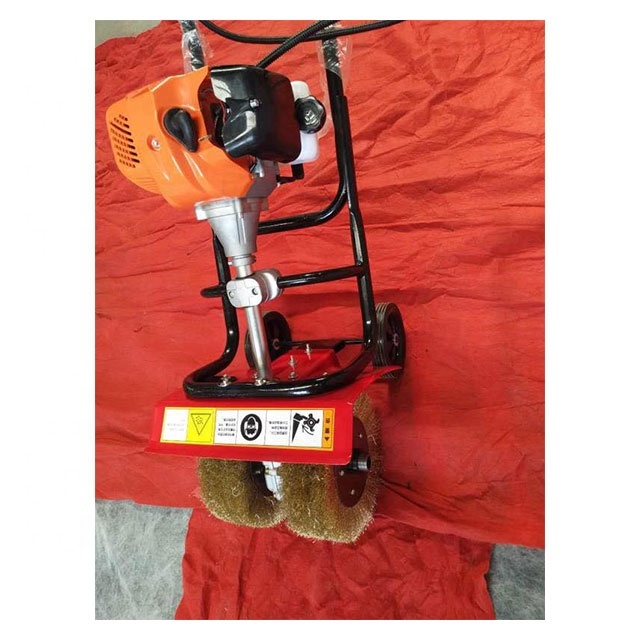 Color Steel Tile Rust Removal Machine