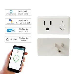 LEELEN OEM/ODM enchufe eléctrico inteligente 15A toma de corriente WiFi Google Alexa control de voz Monitor de energía enchufe de toma de corriente inteligente