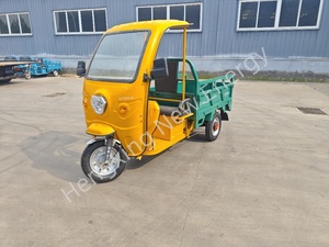 Tricycle électrique bon marché pour adultes sans <span class=keywords><strong>permis</strong></span> Cabine fermée Tricycle électrique pour cargaison avec <span class=keywords><strong>moto</strong></span> de toit - Product Image 3