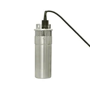 Stainless Steel 12LPM 100M 12 dc bore well solar powered submersible water pump for agricultural