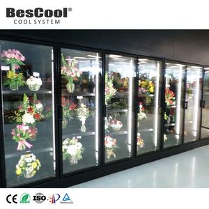 Congélateur de plain-pied pour chambre froide Présentoir pour <span class=keywords><strong>magasin</strong></span> de détail Fleuriste Solution pour <span class=keywords><strong>magasin</strong></span> d'alimentation Porte en verre Conteneur mobile - Product Image 5