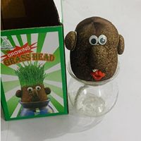 Récipients éducatifs en verre de terrarium de poupée de tête d'herbe pour des hommes femmes enfants cultivant la plantation