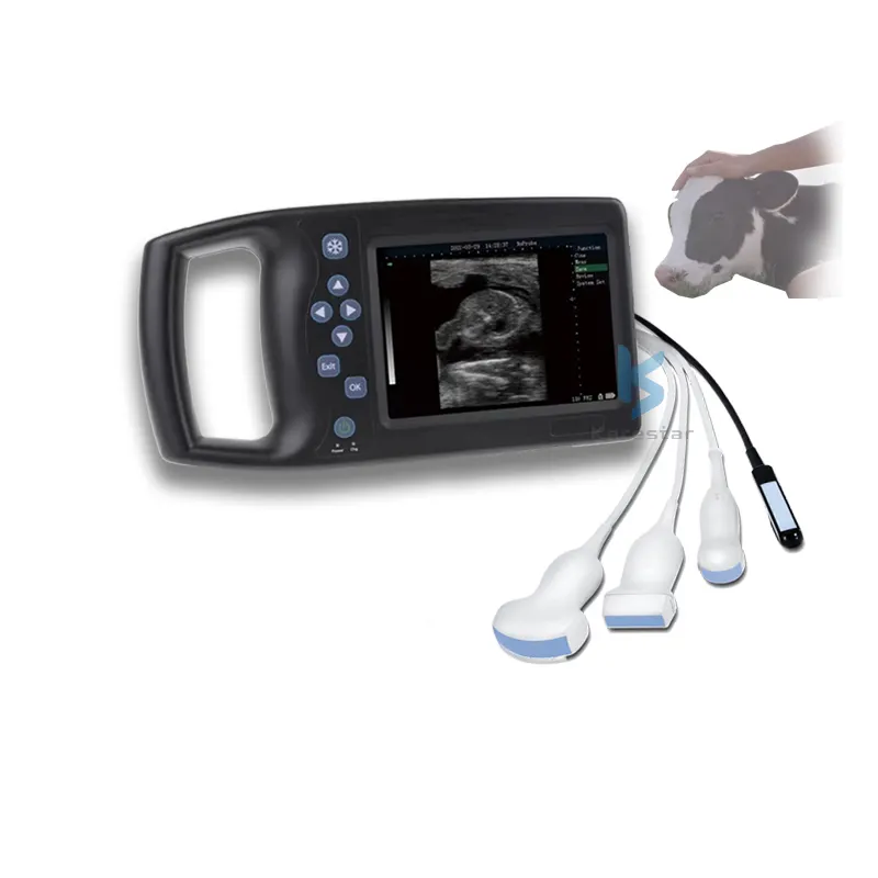 Palm Size Draagbare Ultrasound Therapie Eenheid Veterinaire Ultrasound Machine Schapen Zwangerschap Tests Sonar Machine