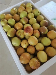 Giá Ngày Đỏ <span class=keywords><strong>Jujube</strong></span> Ngọt Ngào Juicy Trung Quốc Mùa Đông Tươi Mát - Product Image 3