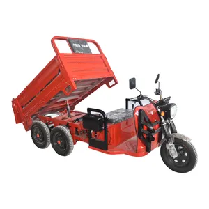 Navigate Agricultural Challenges with Ease Adaptive 1500w five wheeled electric tricycle for Seamless Farming