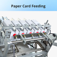 Fabricant de machines d'emballage sous blister automatiques à grande vitesse pour la scellage de cartes et l'emballage sous blister de comprimés et de capsules