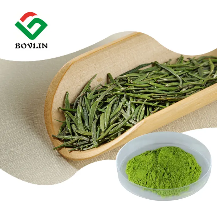 Poudre de thé vert instantané organique Matcha 1Kg Halal