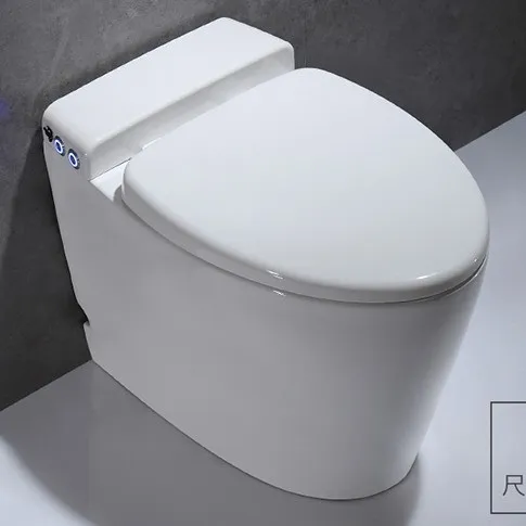 Placard sans réservoir pour gagner de l'eau, vestiaire murale pour gagner de l'espace, toilette sans réservoir