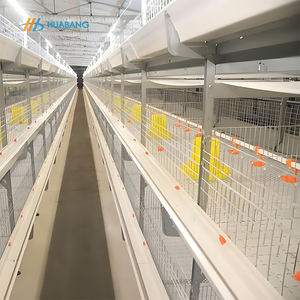 Système de <span class=keywords><strong>cage</strong></span> automatique pour poulets de chair <span class=keywords><strong>Cage</strong></span> à caille pour poulailler Alimentation automatique et consommation de tétines - Product Image 3