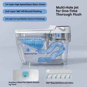 <span class=keywords><strong>Toilette</strong></span> ordinaire, siphonique, non branchée, domestique, mécanique, à pression latérale, chasse d'eau au pied, pompage d'eau, nettoyage à l'eau froide - Product Image 4