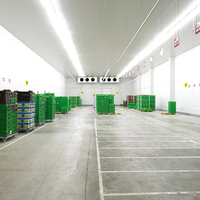 Groente Fruit 1000 Ton Aardappel Koude Opslag