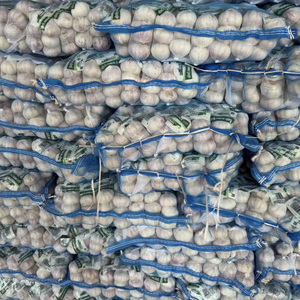 天然白色新鲜好农大蒜浓郁香气健康食品受欢迎印度尼西亚清真认证好价格霸王普蒂 - Product Image 5