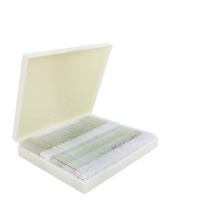 100 types de préparations biologiques, dont des spécimens zoologiques clairs pour microscope. - Product Image 1