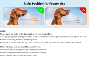 <span class=keywords><strong>Collar</strong></span> de entrenamiento de cadena Chapado en plata de 2,5-4mm de ancho ajustable para perros, puntas de liberación rápida de hierro sólido, puntas de goma cómodas - Product Image 5