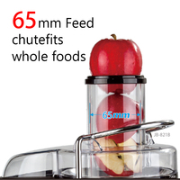 Mixeur centrifuge 4-en-1 multifonctionnel, extracteur de jus de fruits électrique et manuel en acier inoxydable à vitesse réglable – Vente chaude