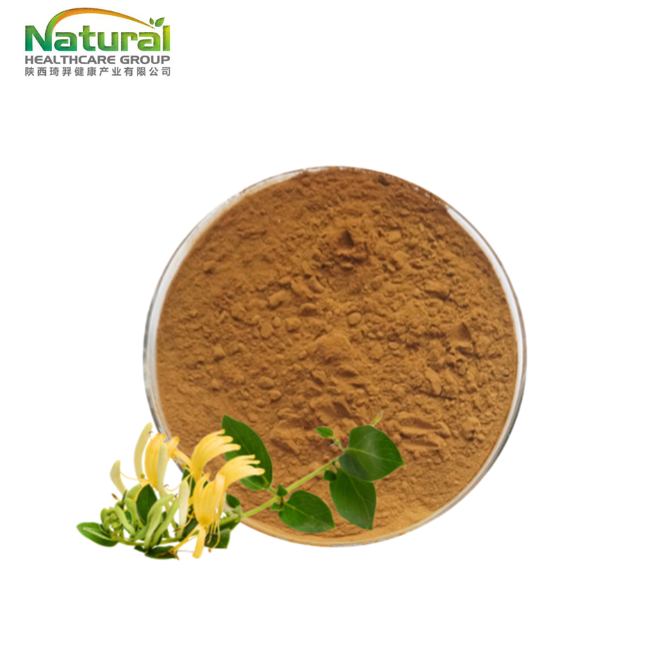 Natural Honeysuckle Extract 10% Chlorogenic Acid Water Soluble Lonicera ...
