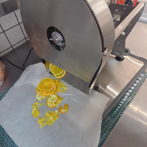 Tritatutto e Affettatrice Elettrica Multifunzione Professionale per Carote, Zenzero, Arance, Pomodori e Verdure - Product Image 6