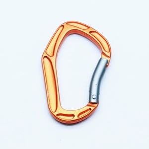 Camping randonnée personnalisé <span class=keywords><strong>petit</strong></span> <span class=keywords><strong>mousqueton</strong></span> de sécurité en plein air Clip logo porte-clés verrouillage <span class=keywords><strong>mousqueton</strong></span> en alliage d'<span class=keywords><strong>aluminium</strong></span> - Product Image 2