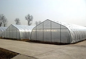 Hot bán tùy chỉnh Single-span đường hầm nhà kính giá thấp giải pháp hiệu quả cao tùy chỉnh nhà kính để bán - Product Image 2