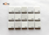 Koris - Losa de Superficie Sólida Acrílica de Piedra Artificial de Alta Calidad para Encimeras de Cocina, Gran Venta