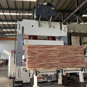 Hanvy New 4*4ft High Efficiency Veneer Cold Press Machine With Class I Plywood
