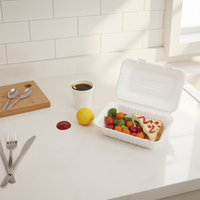 Boîte à clapet en bagasse personnalisée, compatible micro-ondes, 1/2/3 compartiments, biodégradable, naturelle ou blanche, pour plats à emporter