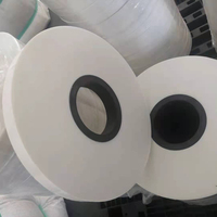 Film Mylar d'isolation électrique en polyester, 100 microns, 150 microns, 188 microns, 250 microns