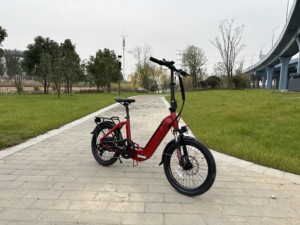 <span class=keywords><strong>Vélo</strong></span> <span class=keywords><strong>électrique</strong></span> pliable de ville, moteur arrière 36V 350W, <span class=keywords><strong>vélo</strong></span> <span class=keywords><strong>électrique</strong></span> 20 pouces pour <span class=keywords><strong>femme</strong></span> - Product Image 5