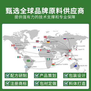 OEM nhà sản xuất tươi Moringa lá Bột năng lượng tự nhiên Booster Superfood khô nguyên liệu thực phẩm lớp Moringa lá chiết xuất bột - Product Image 5