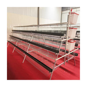 Cages à poulets efficaces pour élevage avicole et cages à poulets pour poulets de chair pour la production de viande. - Product Image 4