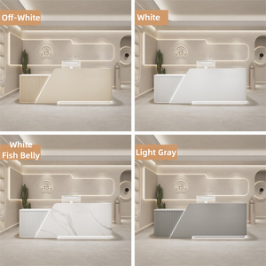 Nhà Máy Bán Buôn Sang Trọng Vẻ Đẹp Salon Spa Đồ Nội Thất Trắng Bàn Tiếp Tân Văn Phòng Bàn Tiếp Tân LED Ánh Sáng Bàn Tiếp Tân - Product Image 5