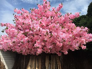 Hoa Anh Đào Nhân Tạo Trang Trí Cây Anh Đào Hoa Anh Đào Giả Màu Hồng Hoa Anh Đào Trong Nhà Ngoài Trời Tại Nhà Tiệc Văn Phòng - Product Image 3