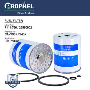 ไส้กรองน้ำมันเชื้อเพลิงดีเซลสำหรับรถแทรกเตอร์ OEM สำหรับรถแทรกเตอร์ LUCAS รุ่น <span class=keywords><strong>CAV</strong></span> 7111/796 7111796 CAV796 7111-796 - Product Image 4