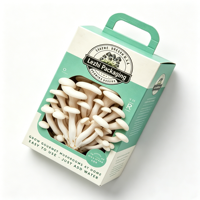 Boîte de culture de champignons frais en carton avec poignée, emballage en pulpe recyclée