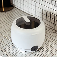Nettoyeur ultrasonique portable électrique pour bijoux dentaires, usage domestique et automobile, 45 kHz, mini-bain numérique en acier inoxydable
