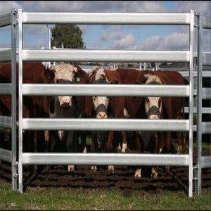 고품질 3x3 아연도금 PVC 코팅 용접 철망 소 우리 울타리 패널 현대적 디자인 방수 - Product Image 1