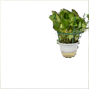 Hantechn Decoración de Jardín, Obelisco Metálico Fácil de Usar, Soporte para Plantas, Estacas de Plástico para Jardín, Poste Conmemorativo de Plástico de 8mm - Product Image 2