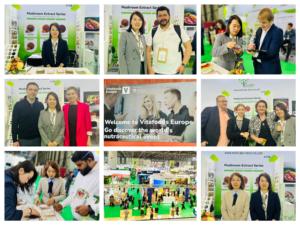 Collagene di Pesce Idrolizzato Puro in Polvere all'Ingrosso, 99% Grado Alimentare, Confezione in Fusto - Product Image 3