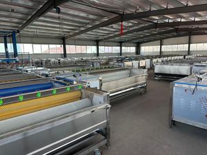 Máquina de lavado y pelado de rodillos de cepillo Industrial comercial de 500 kg/h - Product Image 5